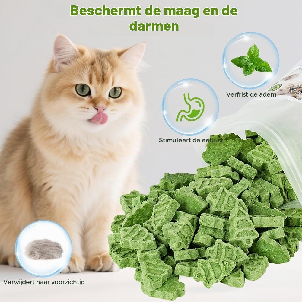 Detalle de OSDUE 5580190 kattensnack met kattengras, gevriesdroogd met kip en eigeel