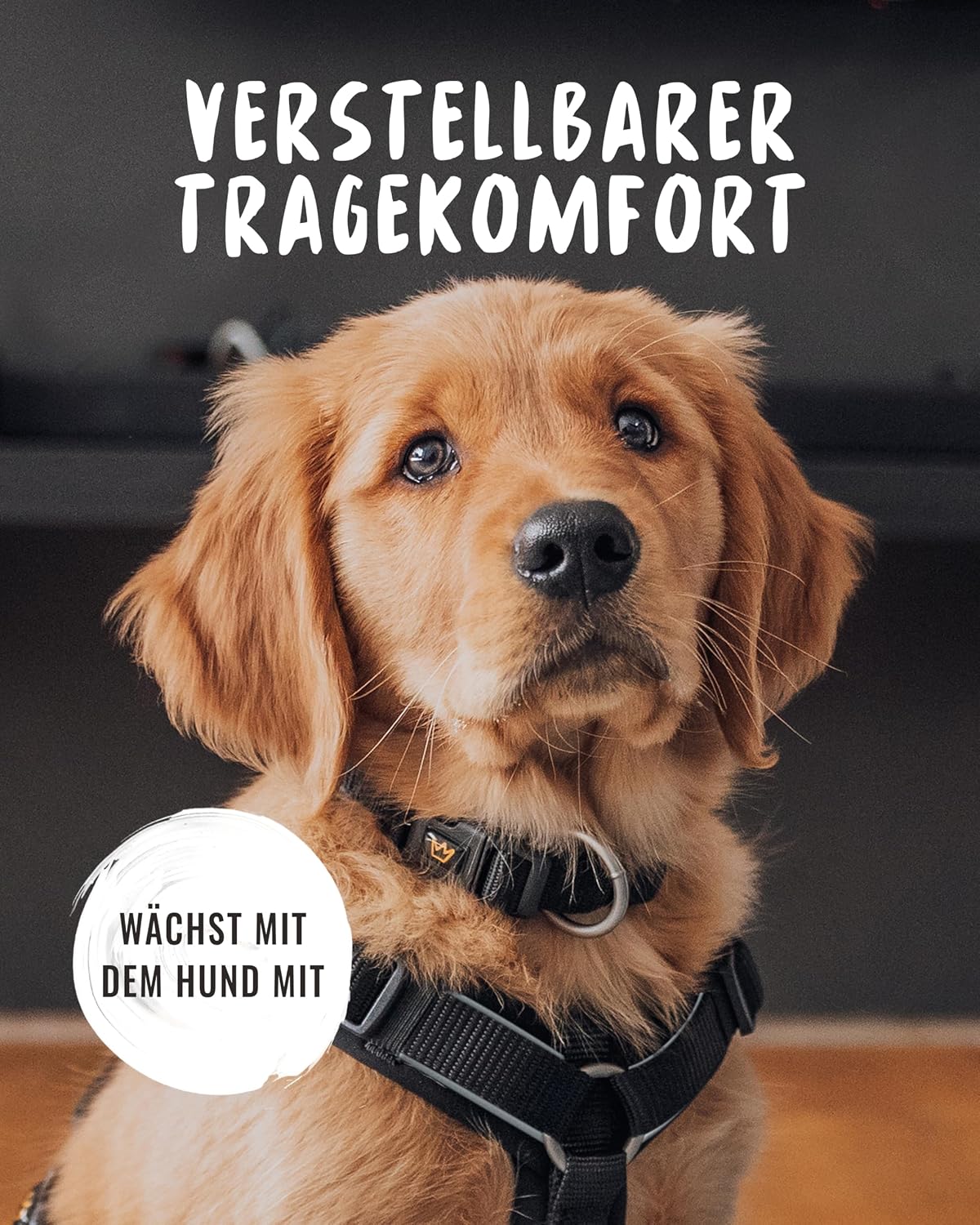 Detalle 2 de Rudelkönig Hundehalsband Paola verstellbar