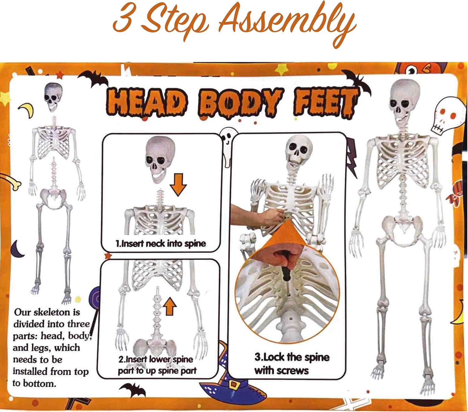 Thumbnail 1 de Life-size Skeleton 165cm Halloween prop