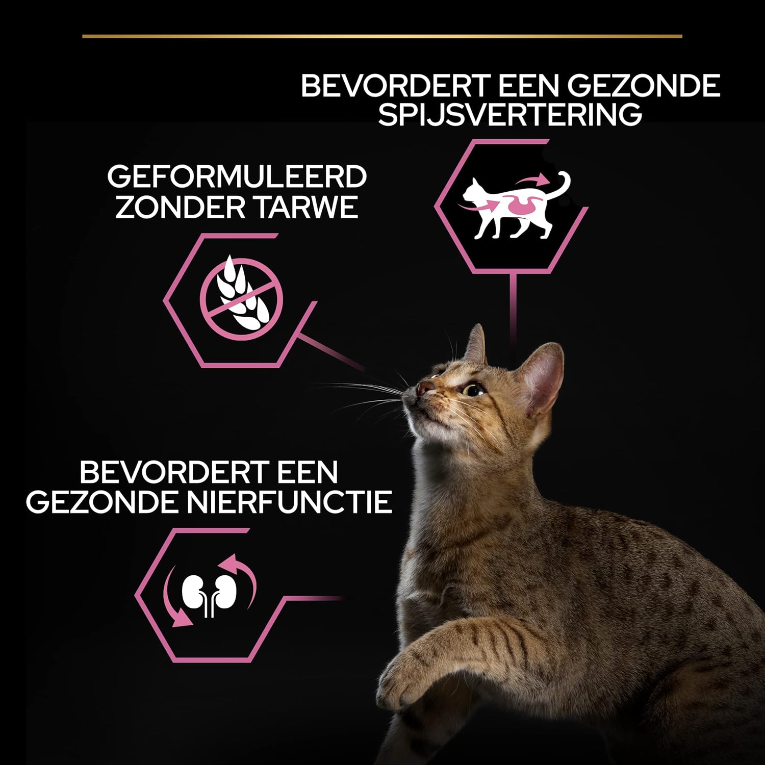 Thumbnail 5 de PURINA PRO PLAN Cat Delicate Adult OPTIRENAL Trockenfutter mit Truthahn | 10 kg