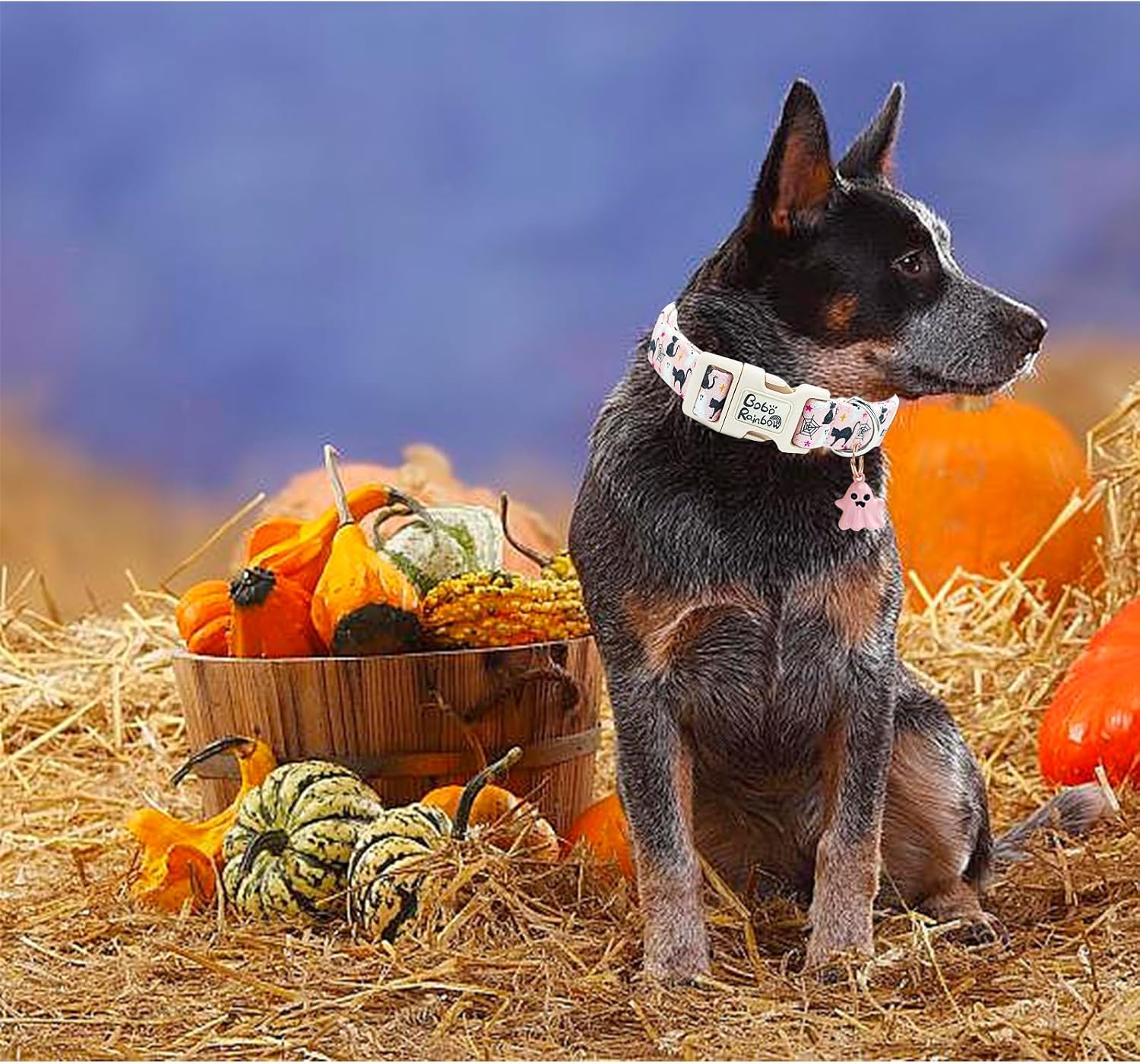 Detalle 2 de Bobo Rainbow Halloween Dog Collar, Cotton