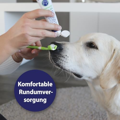 Thumbnail 1 de Canosept Zahnpflege Hund (3-teiliges Set) – Hundezahnbürste, Hundezahnpasta 45 ml und Fingerlinge Zahnpflege