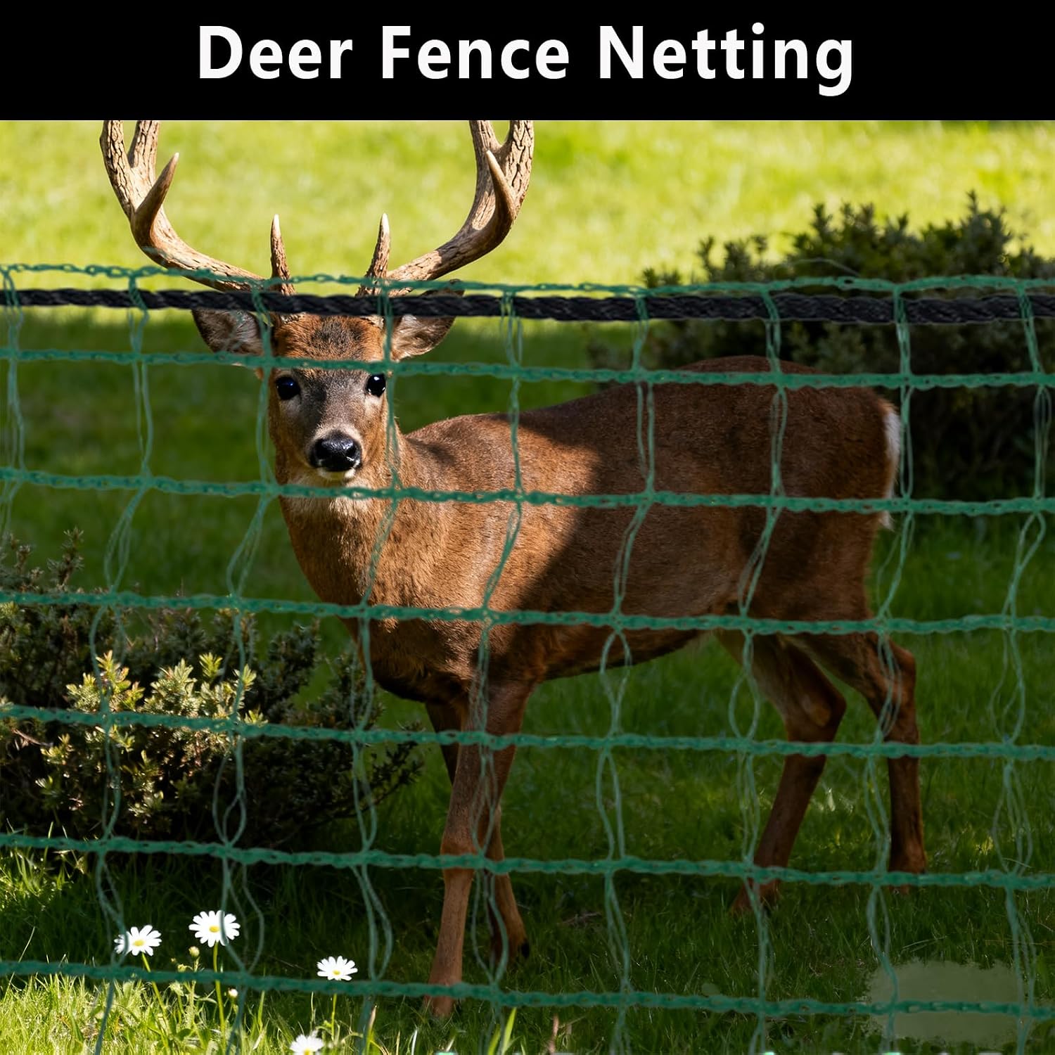 Thumbnail 1 de POYEE PJBFG-NET-G-4-100 Deer Fence Netting, 4 x 100 ft Green HDPE Mesh