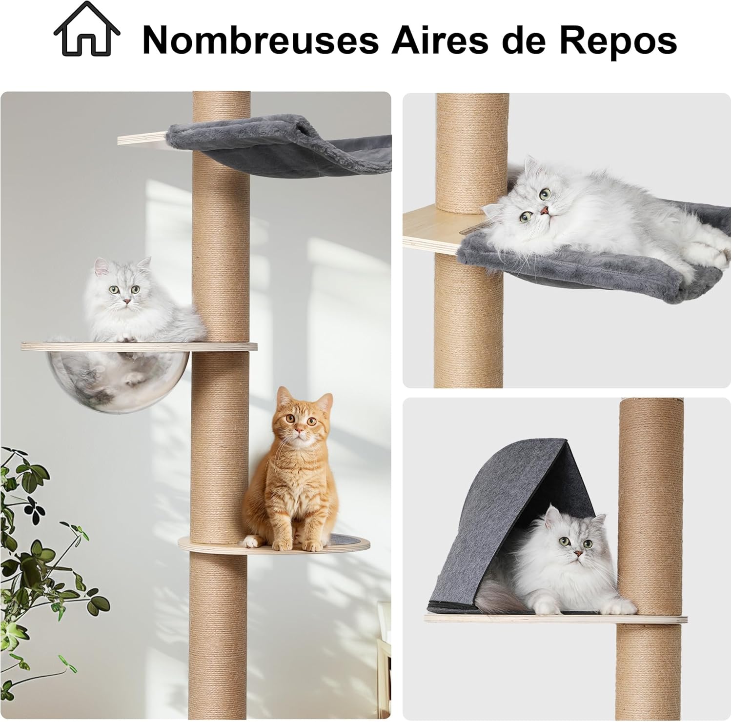 Thumbnail 6 de FUKUMARU Arbre à chat du sol au plafond à 6 niveaux réglable (jusqu’à 300 cm) avec hamac et capsule transparente 360°