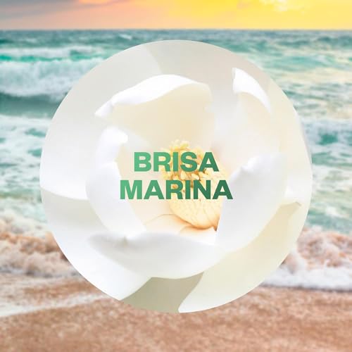 Thumbnail 5 de Air Wick Active Fresh Spray Automático sin aerosol Brisa Marina (1 aparato y 2 recambios)