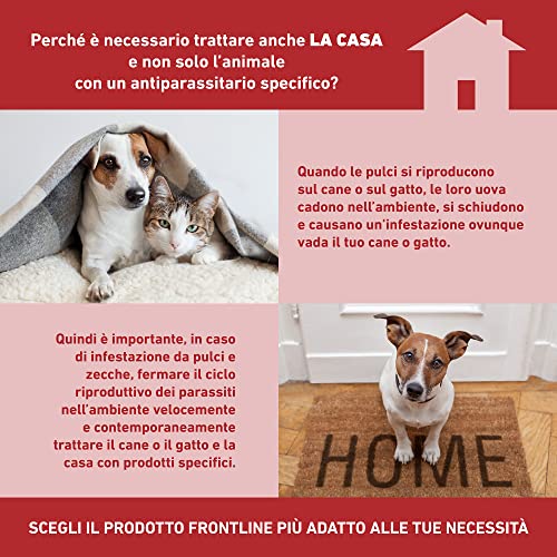 Detalle 2 de FRONTLINE Homegard Spray Insetticida 250 ml: protezione rapida contro pulci e zecche per mobili e tessili