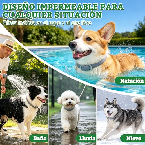 Detalle 2 de BoYata Collar Antiparasitario para Perros 2 Unidades – Protección jusqu 12 Meses con Aceites Naturales