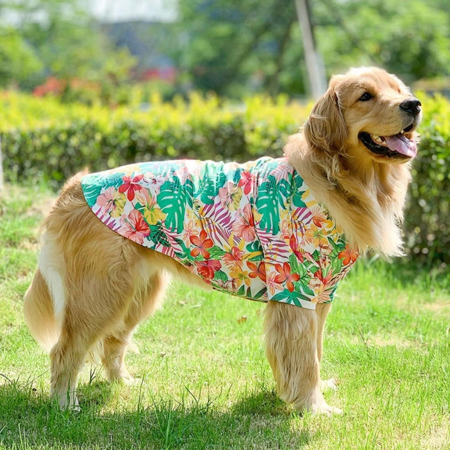 Thumbnail 3 de Dog Hawaiian Shirt for Medium to Large Dogs (8XL, Red) – Summer Breathable Beach T-Shirt