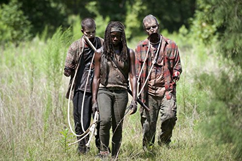 Thumbnail 7 de The Walking Dead: Temporada 4 en Blu-ray – Cameo