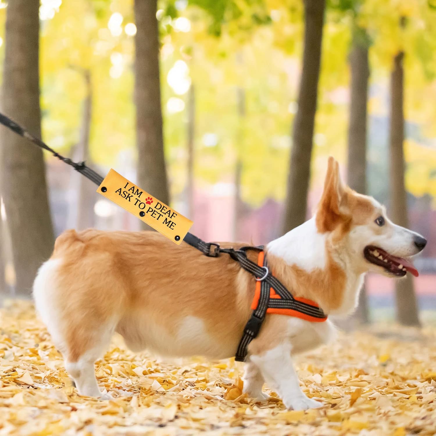 Thumbnail 3 de Deaf Dog Leash Wrap 6cm x 12cm