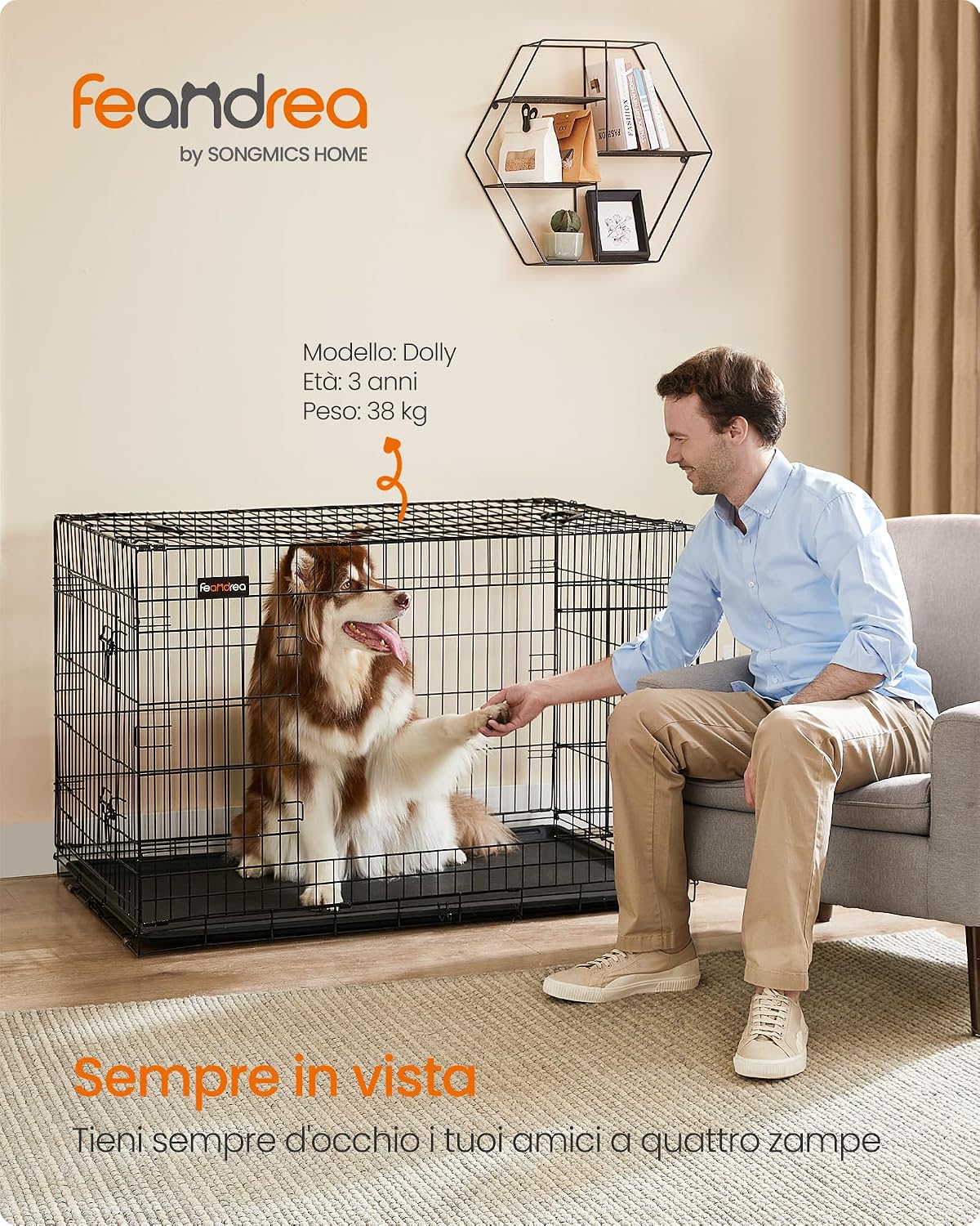 Detalle 2 de Feandrea PPD48H Gabbia per Cani XXL 122×74,5×80,5 cm