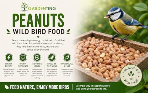 Detalle 2 de Garden Ting Premium Peanut Kernels Wild Bird Food, 3 Litre