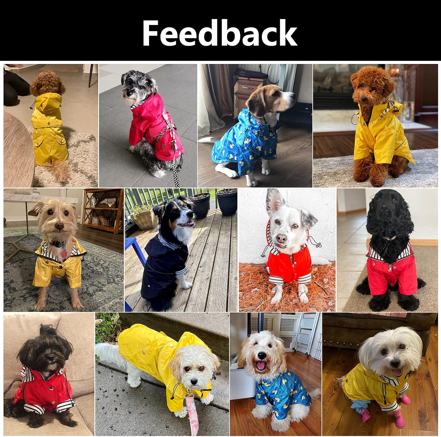 Thumbnail 6 de Morezi Dog Zip-Up Raincoat with Removable Hood and Reflective Buttons (Light Green) – Rain/water resistant for small to medium dogs