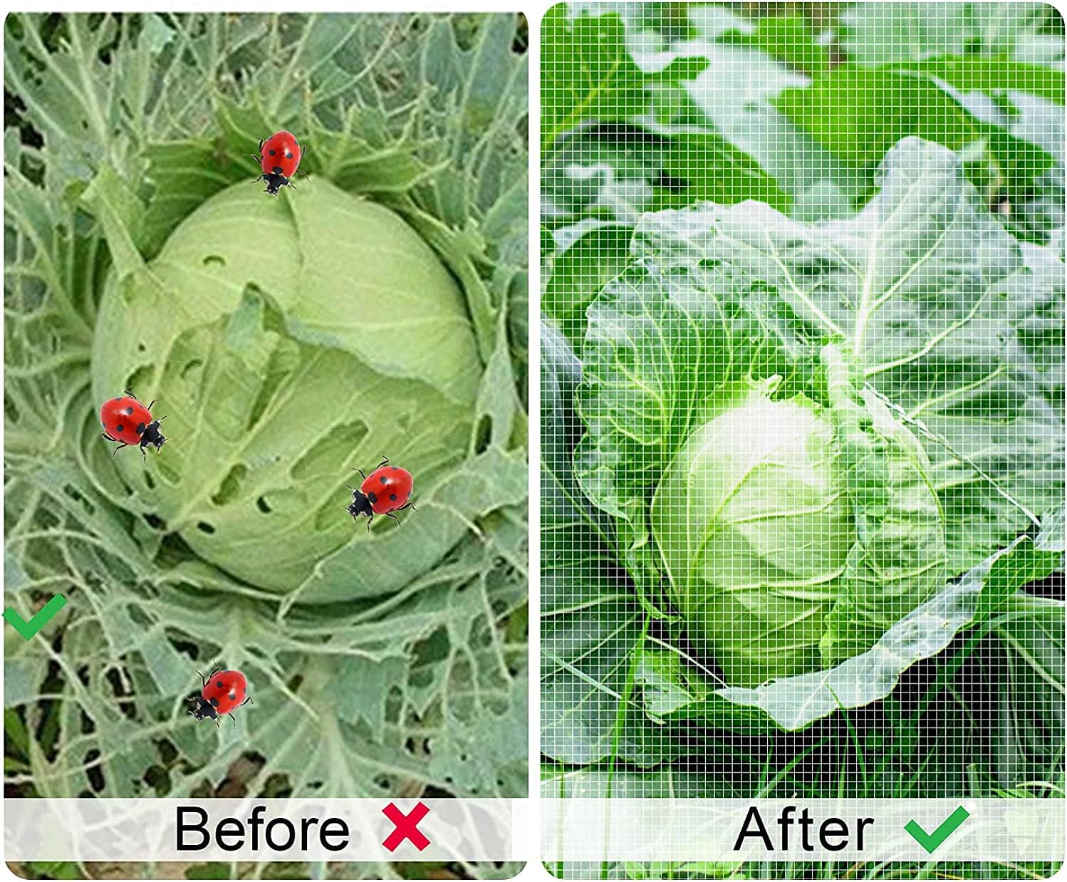 Thumbnail 3 de OAHAO Insect Netting Mesh (2.5m x 10m) fine mesh garden cover for butterflies, pests & birds