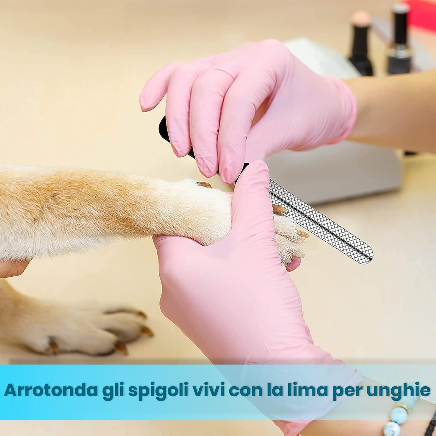 Thumbnail 6 de Candure Tagliaunghie Cane e Gatto con Guardia in Acciaio Inossidabile — Pro e Contro