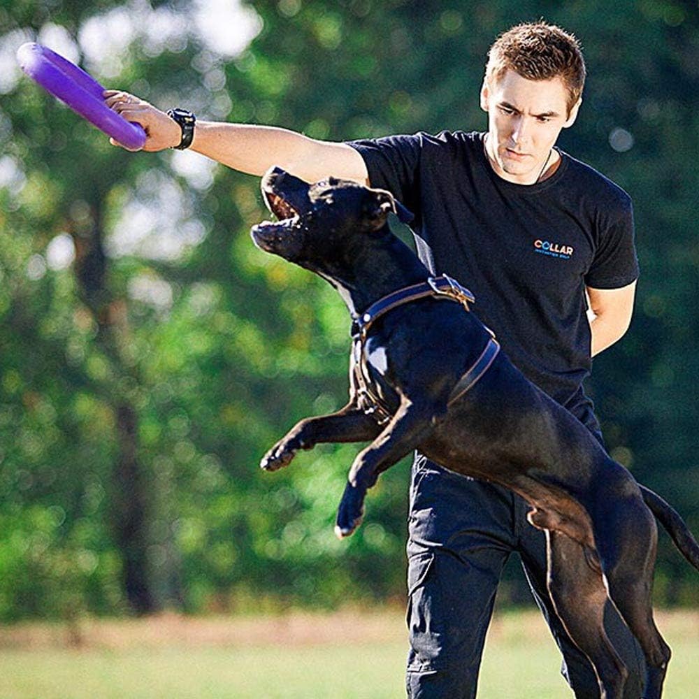 Detalle de Ferplast Puller Standard anelli addestramento per cani 2 pezzi