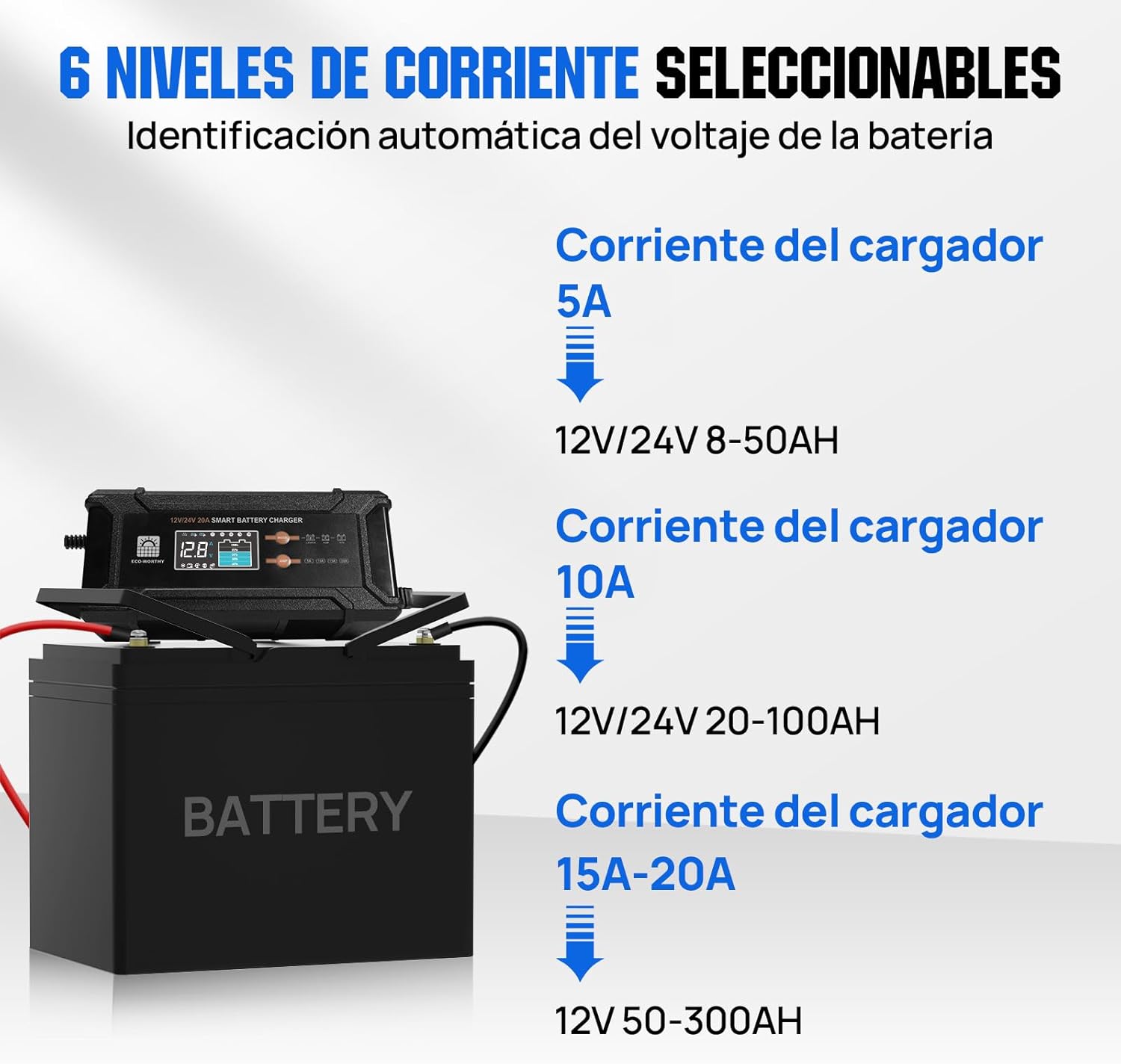 Thumbnail 2 de ECO-WORTHY Cargador LiFePO4 12V/24V 20A