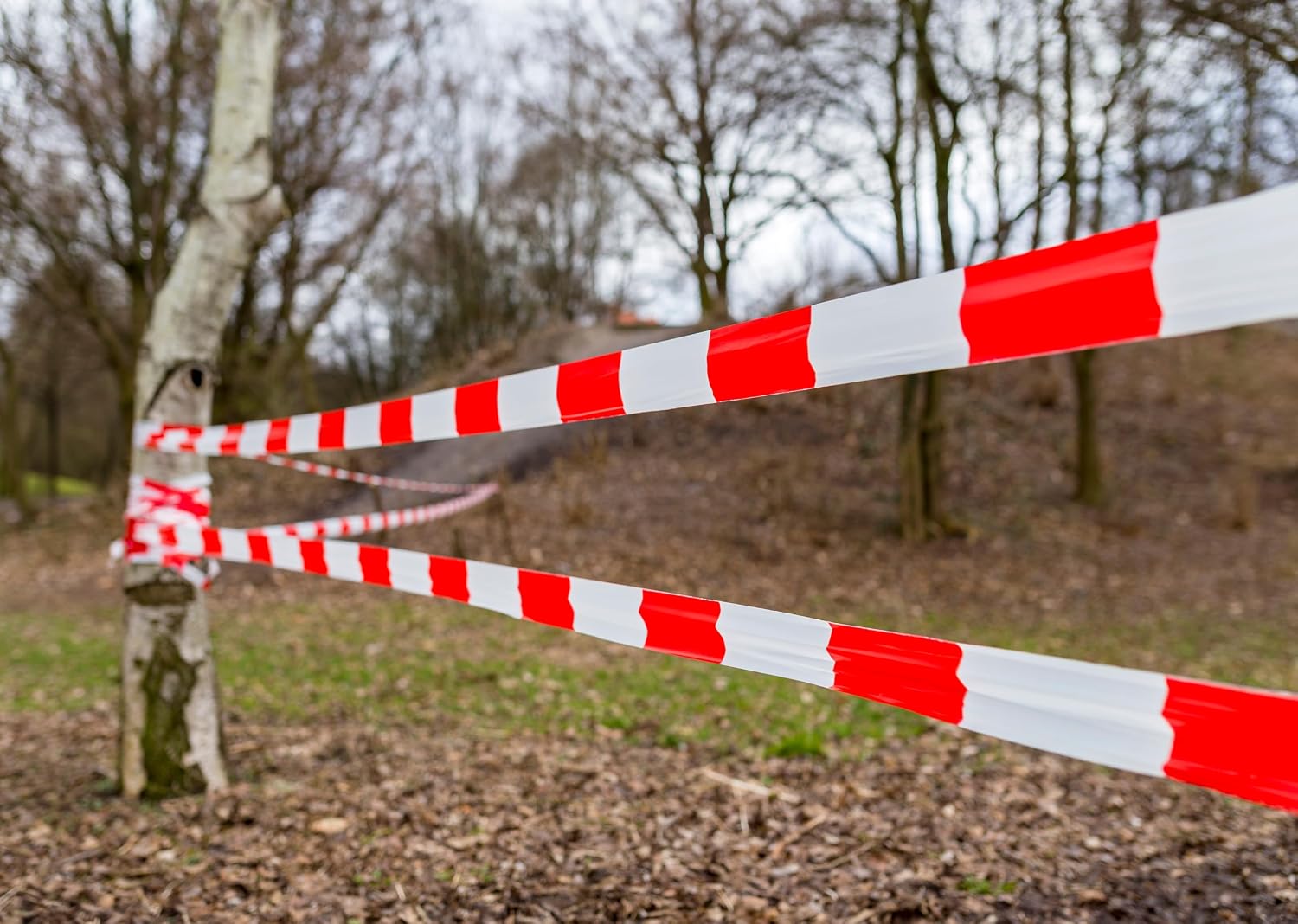 Detalle 2 de La Cordeline taśma ostrzegawcza LDPE 50 mm × 100 m, czerwono-biała