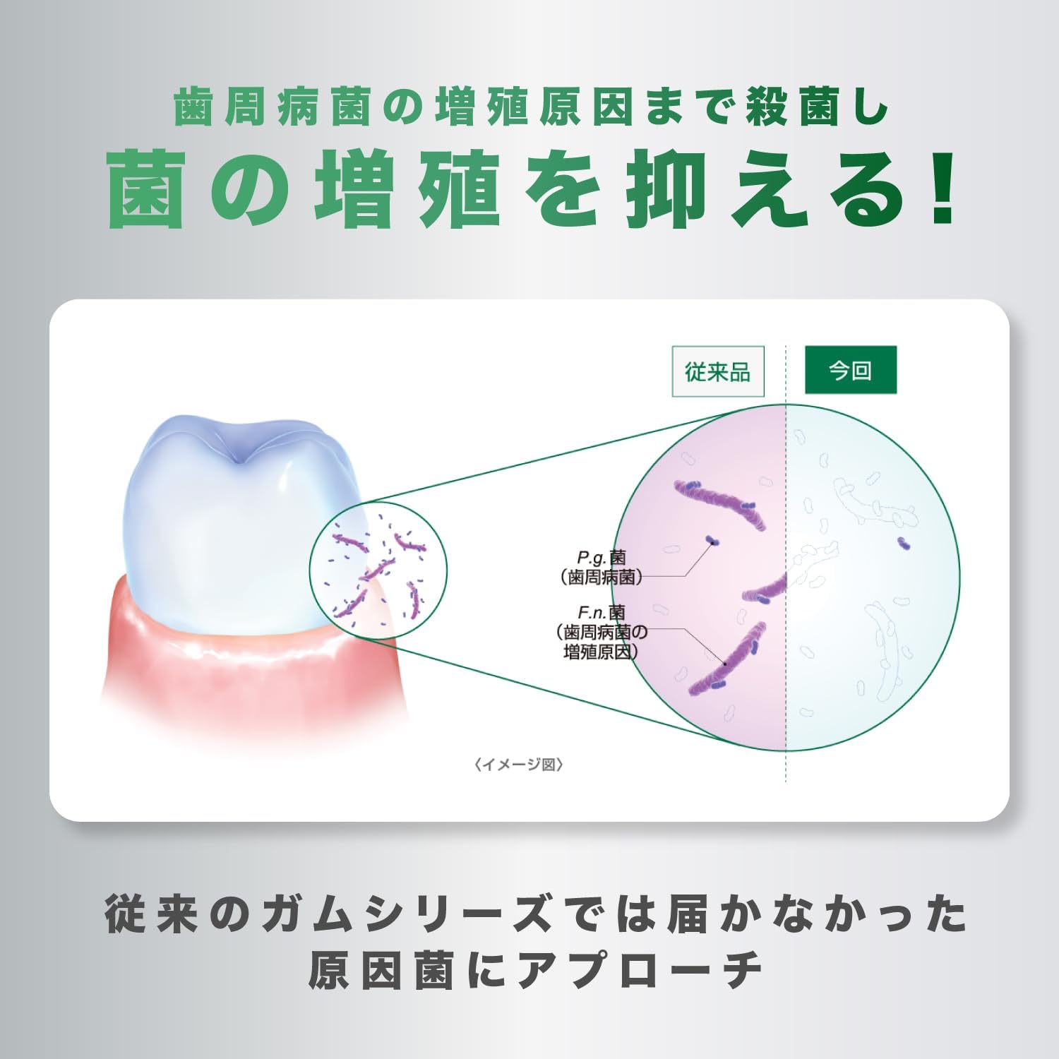 Detalle de GUMプラス デンタルリンス 900ml×2本 スッキリ爽やかタイプ・CPC配合