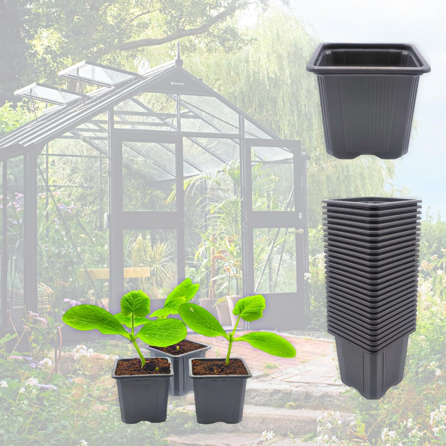 Thumbnail 4 de Verdonia lot de 70 godets en plastique 8 cm pour semis, repiquage et bouturage