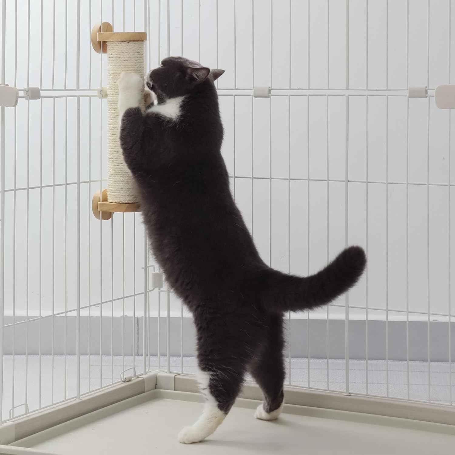 Thumbnail 6 de 猫壱 バリバリつめとぎポール ケージ用 猫用爪とぎ 8×8×37cm