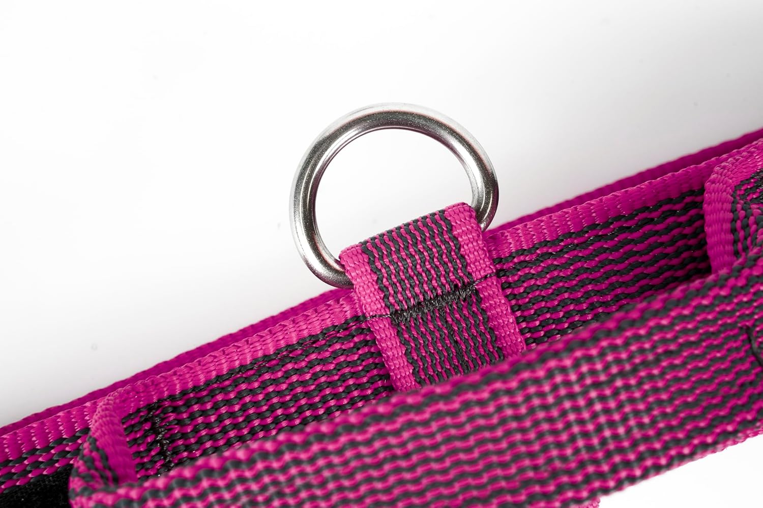 Thumbnail 4 de Julius-K9 Pink-Gray colour and gray collar with handle and interchangeable patch, 50 mm (49–70 cm)