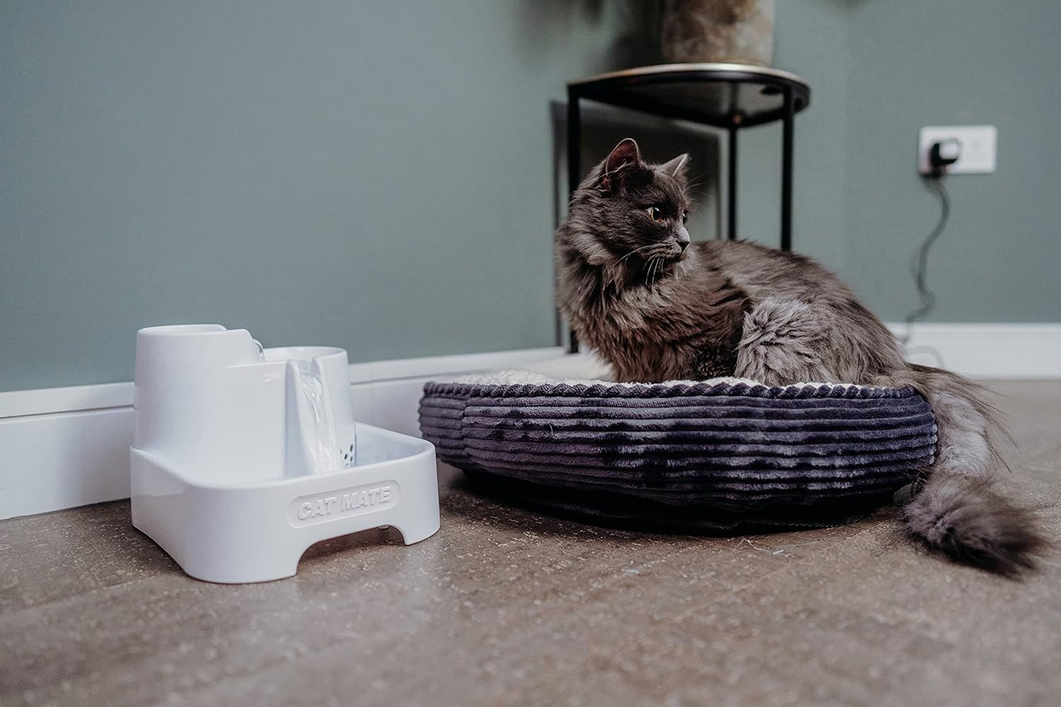 Detalle de Cat Mate Fontana Pet – Fontana d’acqua regolabile per gatti e piccoli cani