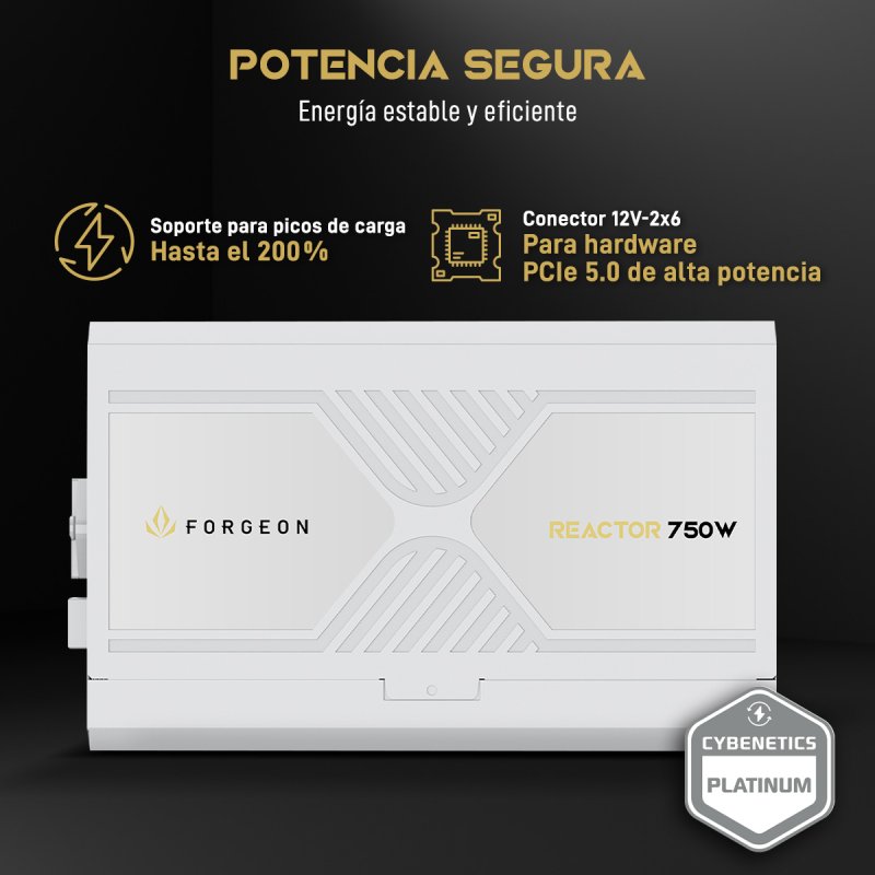 Detalle de Forgeon Reactor 750W fuente ATX 3.1