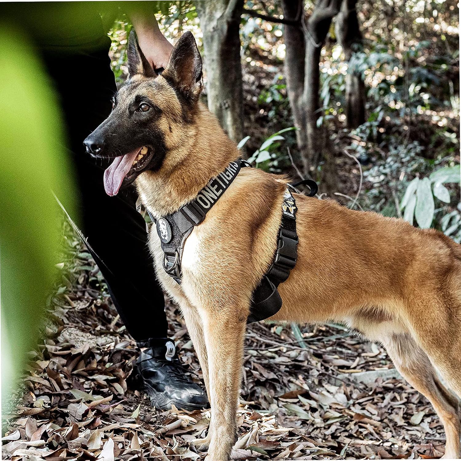 Thumbnail 6 de OneTigris Harnais anti-traction Goliath K9 – harnais tactique réglable (L) pour chien noir