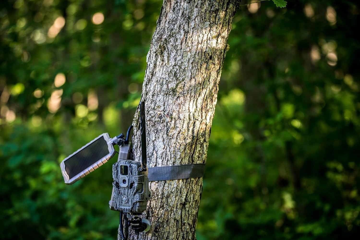 Detalle de Stealth Cam solar power panel, 3000 mAh