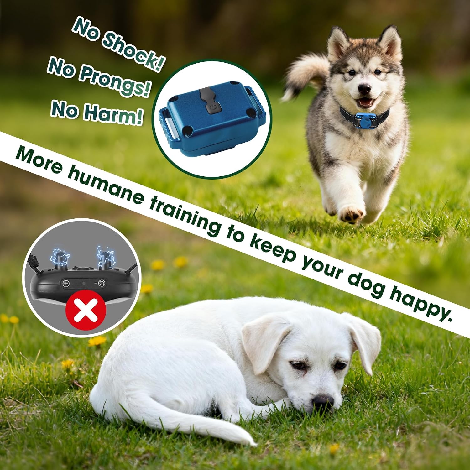 Detalle 2 de Vibration anti bark collar for dogs 2000ft