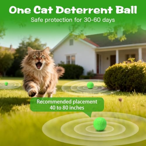 Thumbnail 6 de RIOSYE Cat Repellent for Gardens UK: Natural, Long‑Lasting Outdoor & Indoor Deterrent
