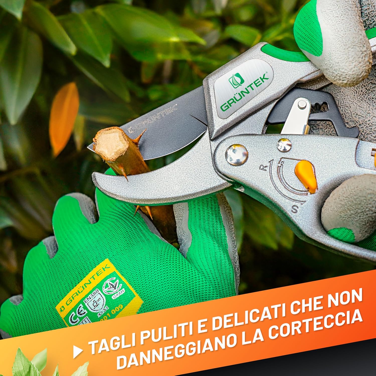 Thumbnail 2 de GRÜNTEK Forbici Cesoie da Potatura a Cricchetto CACATUA 20.5 cm – Potatura precisa con dualità di taglio