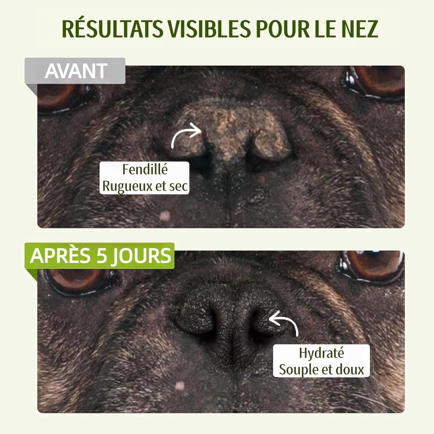 Detalle de Baume nasal naturel pour chiens et chats par GJYC PET – hydratant et cicatrisant