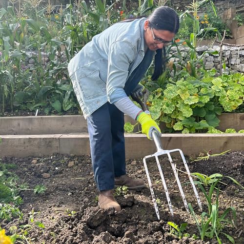 Detalle de Spear & Jackson 4550DF Traditional Stainless Steel Digging Fork