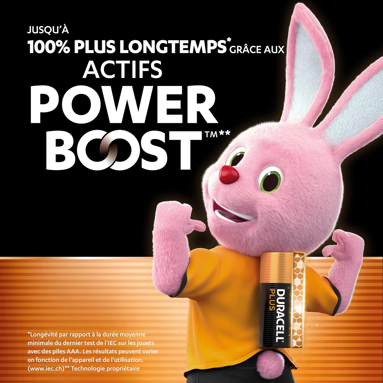 Detalle 2 de Duracell Plus AAA (Lot de 30) – Piles alcalines 1,5 V avec Power Boost