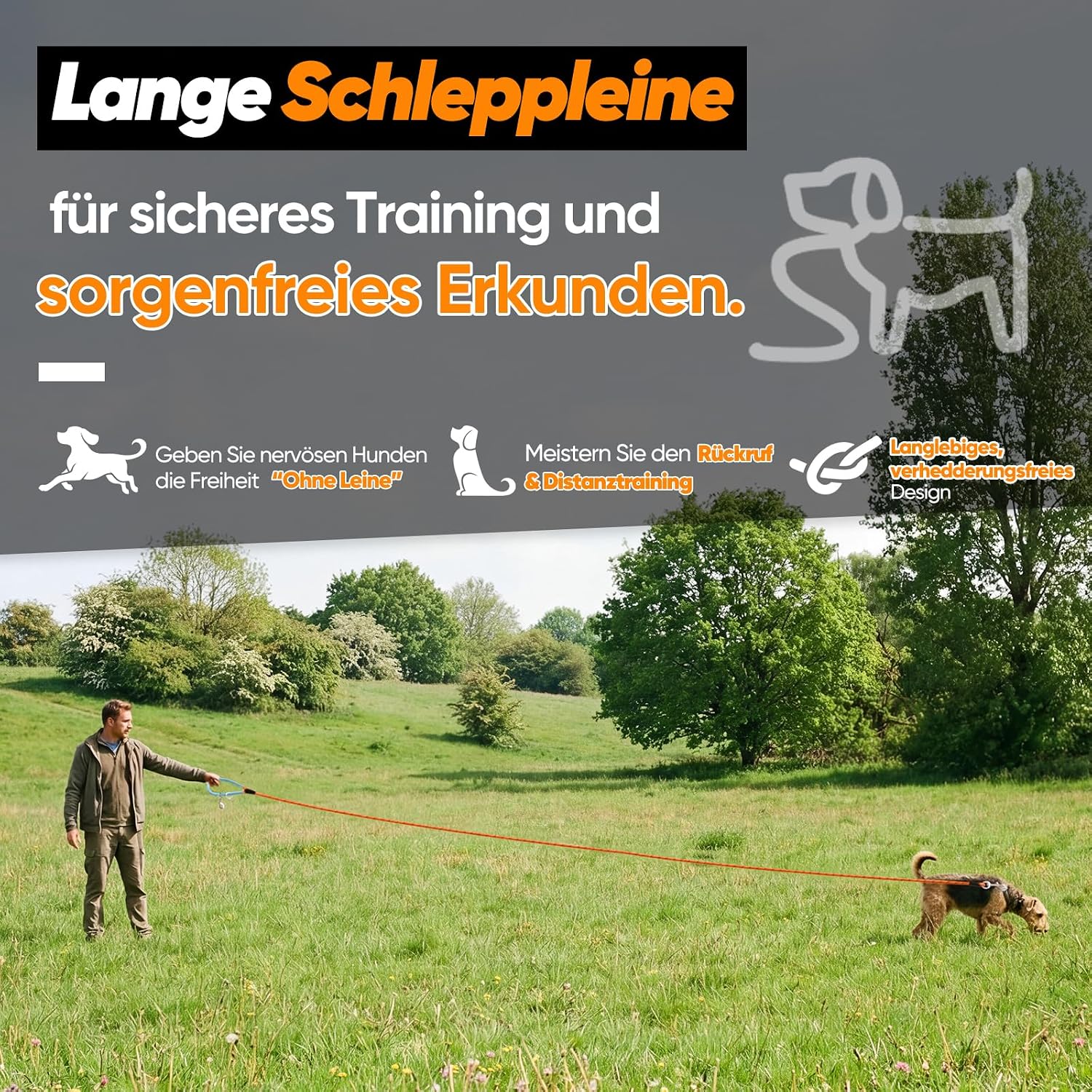 Detalle 2 de Aystkniet Schleppleine 10M für Hunde