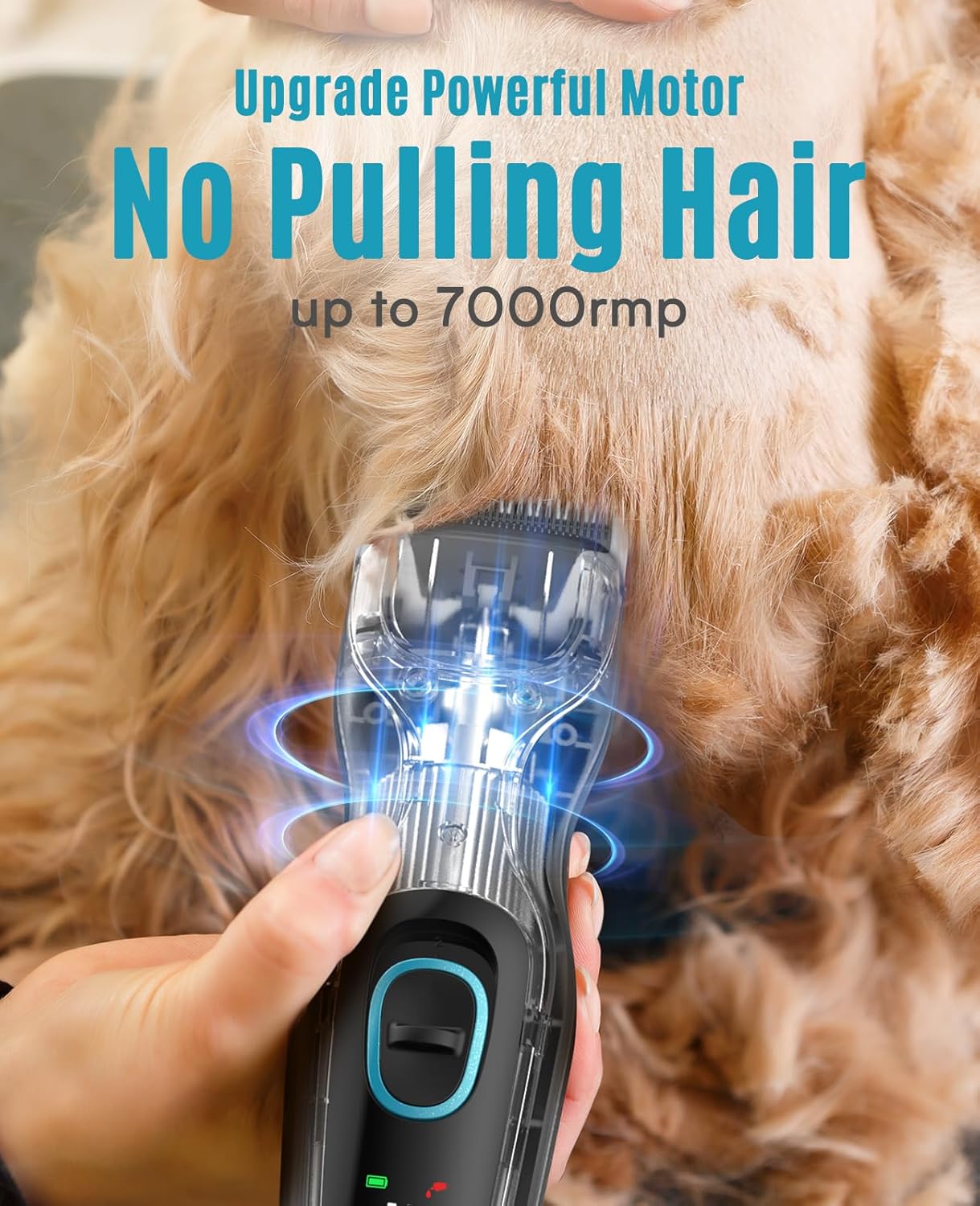 Detalle 2 de oneisall Leise Hundeschermaschine 7000 U/min ✂