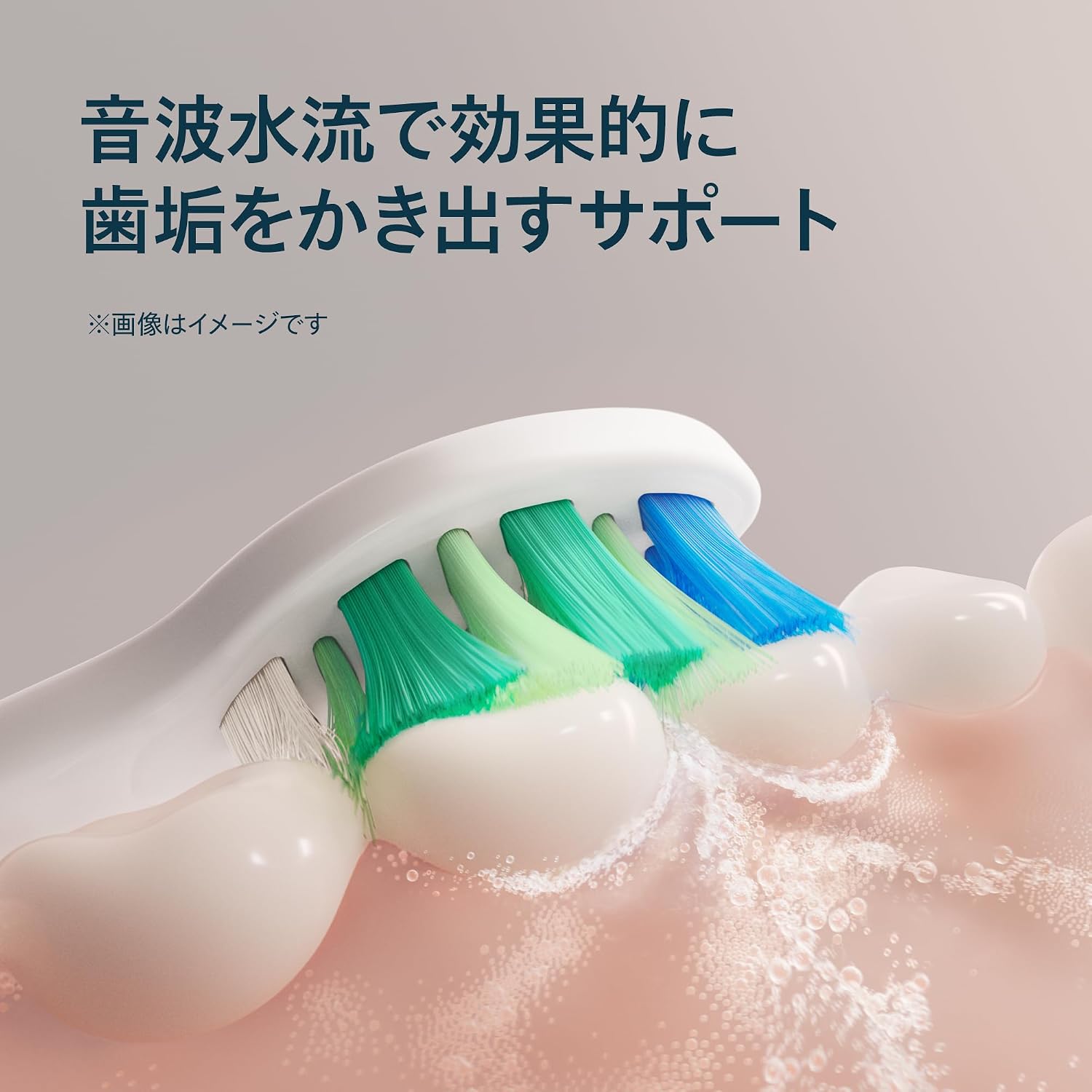 Detalle de フィリップス ソニッケアー 2100シリーズ HX4021/01 電動歯ブラシ 2段階の強さ・イージースタート