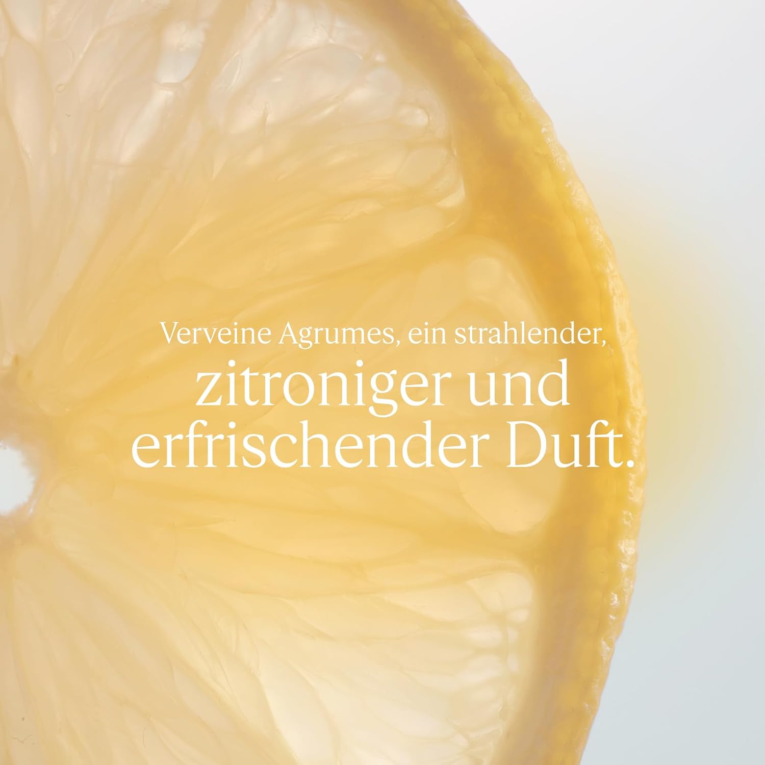 Thumbnail 1 de L'OCCITANE Frische-Bodylotion Eisenkraut Zitrusfrüchte – 250 ml, in Frankreich hergestellt