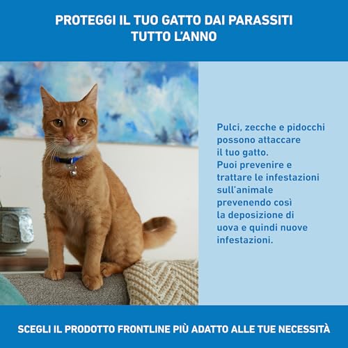 Detalle de FRONTLINE Spot On Gatti 6 Pipette da 0,5 ml: antipulci e antiparassitario per gatti e gattini