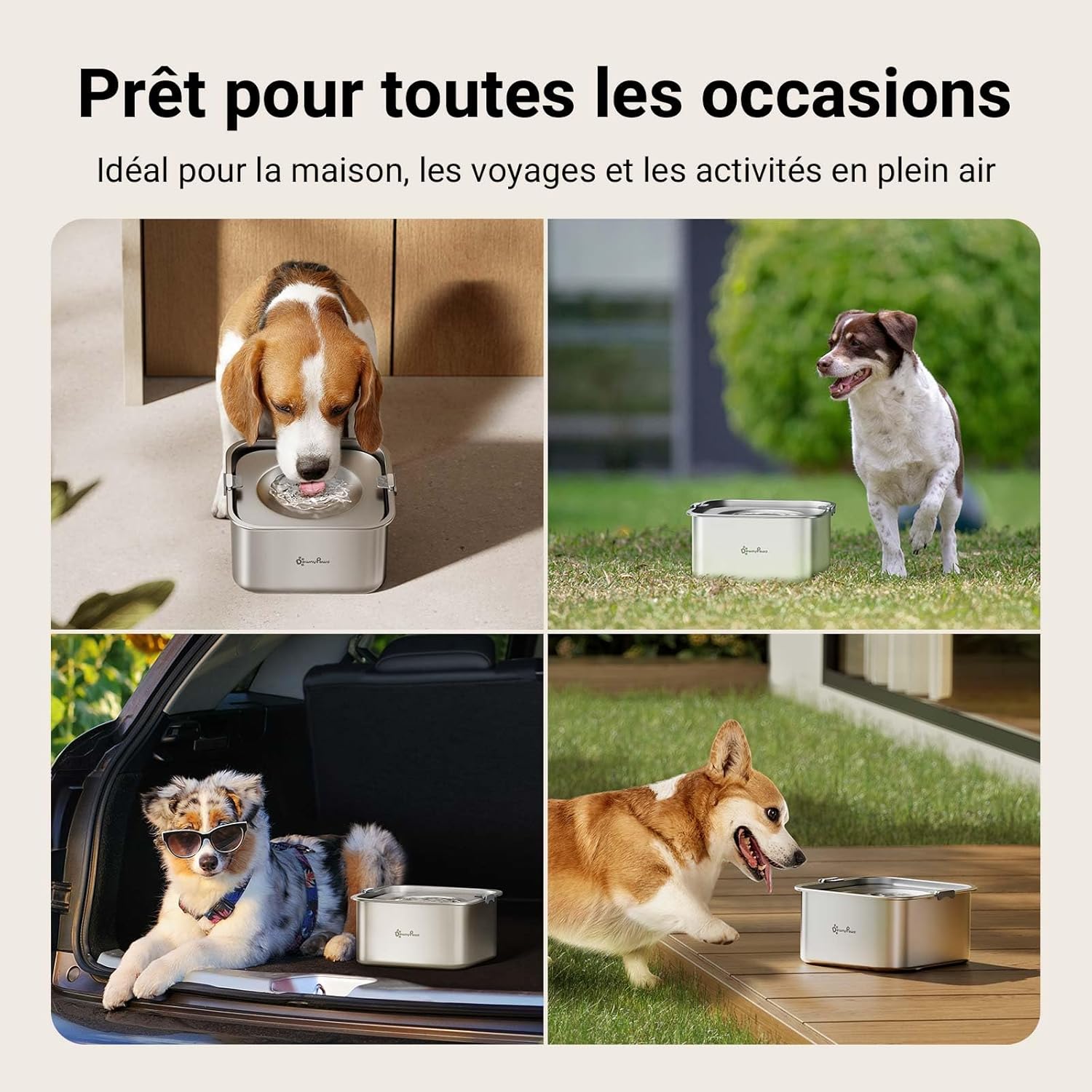 Thumbnail 6 de DownyPaws Gamelle Anti-Éclaboussures pour Chien – 3L en Acier Inoxydable, antidérapante et hygiénique (Petits et moyens chiens, Argenté)