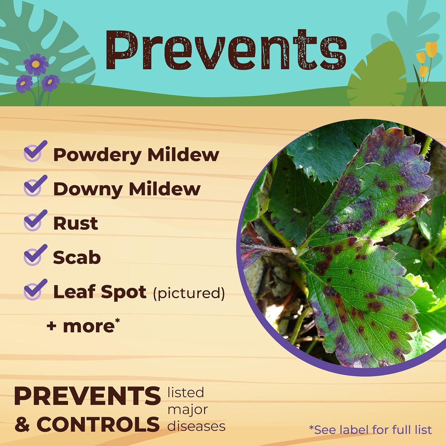 Detalle de Bonide Captain Jack's Neem Oil Concentrate, 16 oz. Multi-Purpose Garden Spray