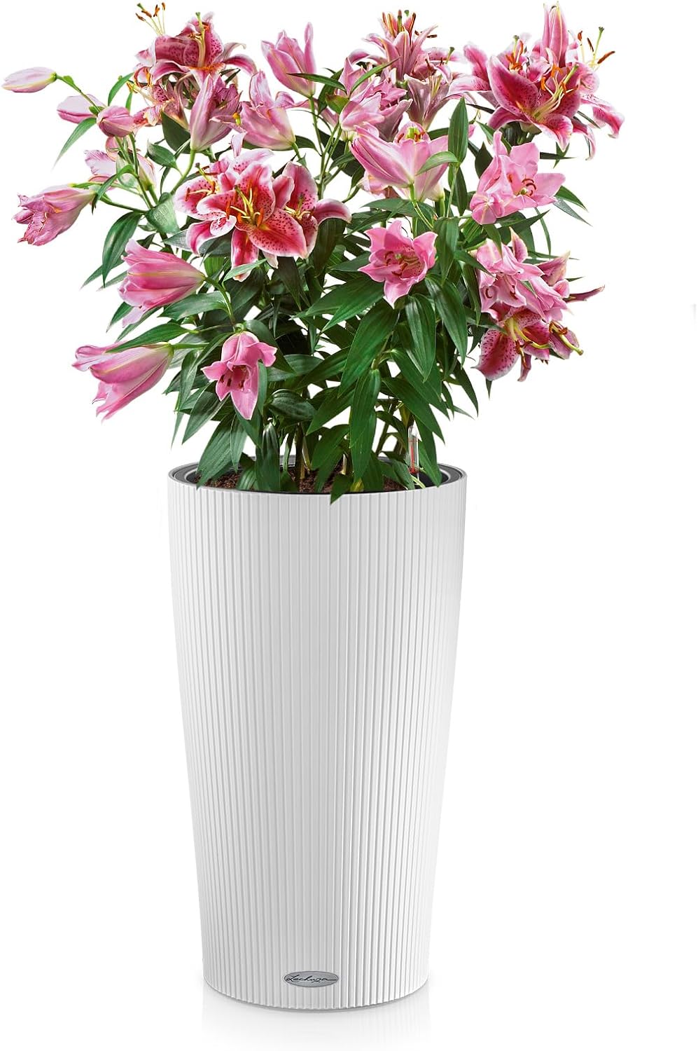 Detalle de LECHUZA CILINDRO Color 32 bianco (13950) – Fioriera con sistema di irrigazione integrato