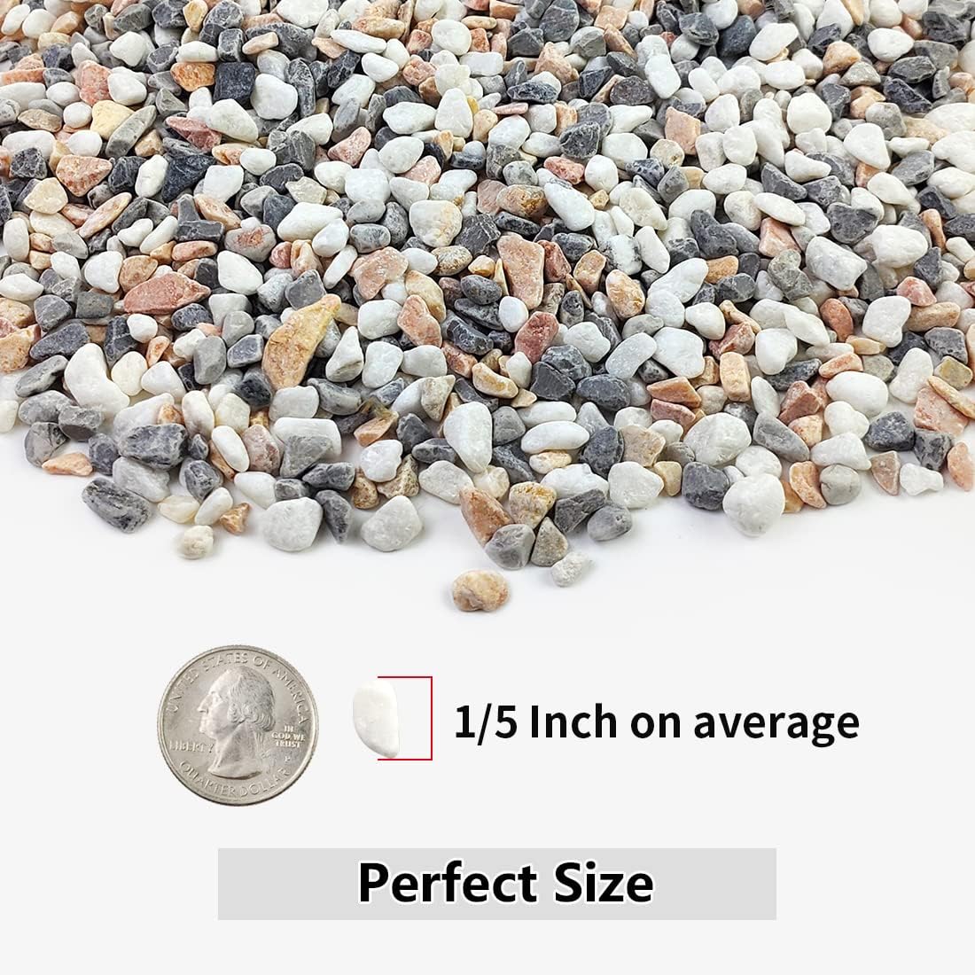 Detalle de YISZM 5 lb Succulent and Cactus Pebbles, 1/5-Inch Mixed Color