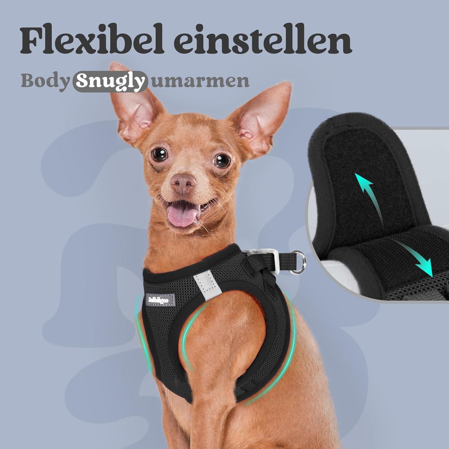 Detalle 2 de rabbitgoo Hundegeschirr XS für kleine Hunde