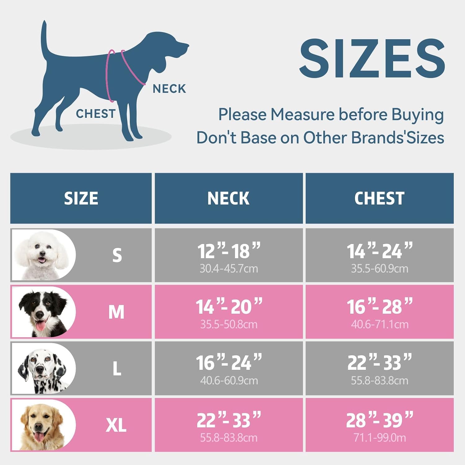 Detalle 2 de PHOEPET No Pull Dog Harness with Neck Buckle, Reflective Strips and Grab Handle (Blue, M)