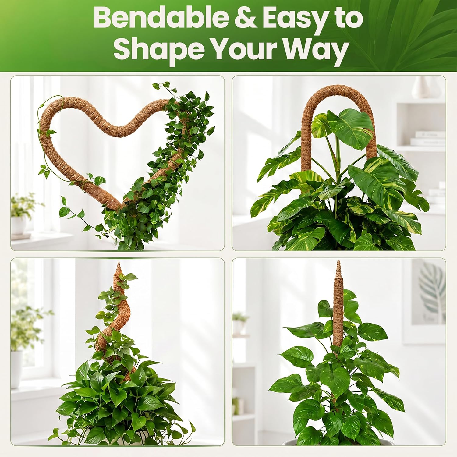 Detalle de K-Brands 2 Pack 28" Bendable Coco Coir Moss Poles for Climbing Plants