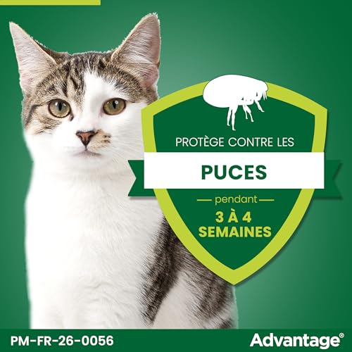 Detalle de Advantage Chat & Lapin +4 kg – Pipettes anti puces (6 x 0,8 ml) pour chats et lapins