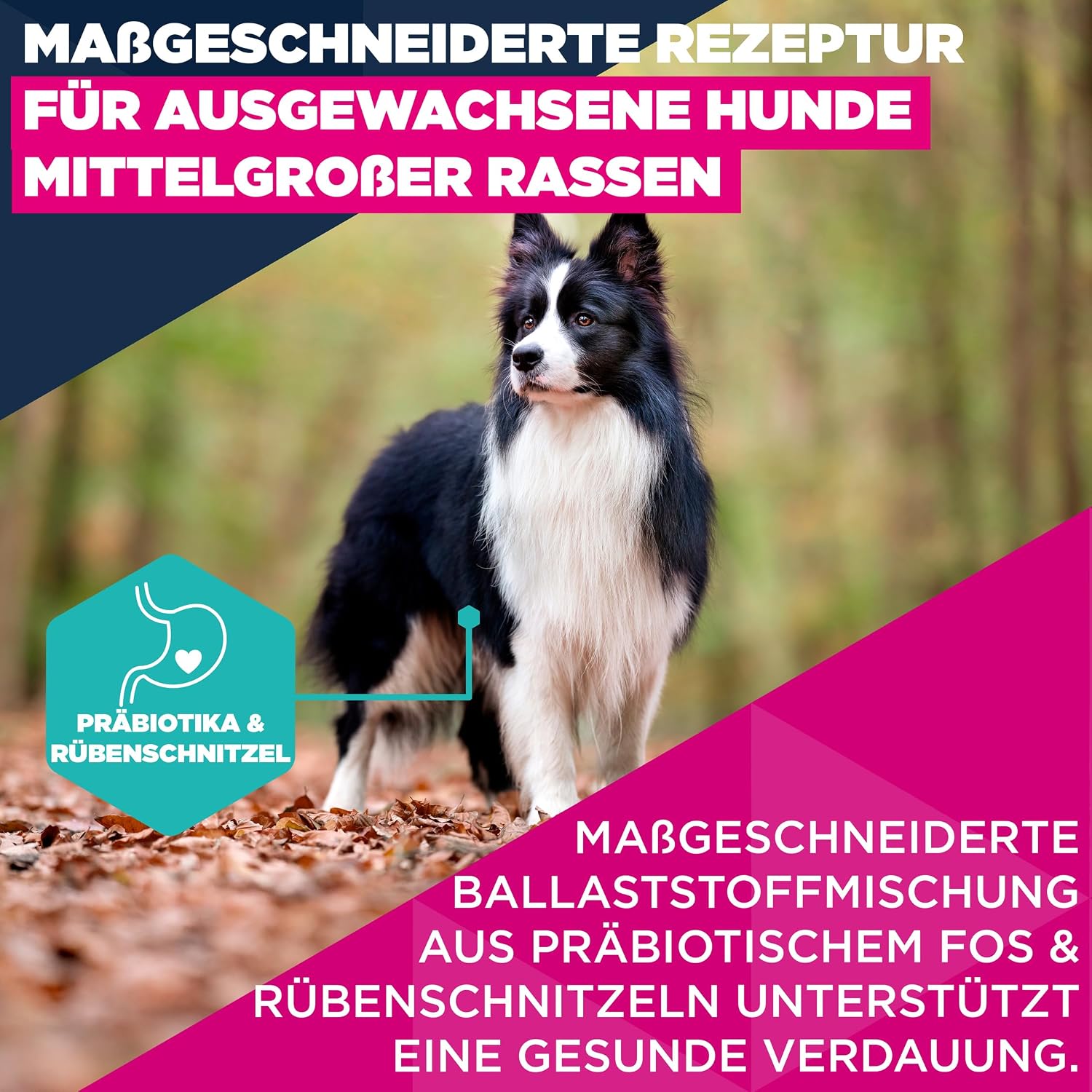 Detalle de Eukanuba Trockenfutter für mittelgroße Rassen mit frischem Huhn – Premium Hundefutter (15 kg)